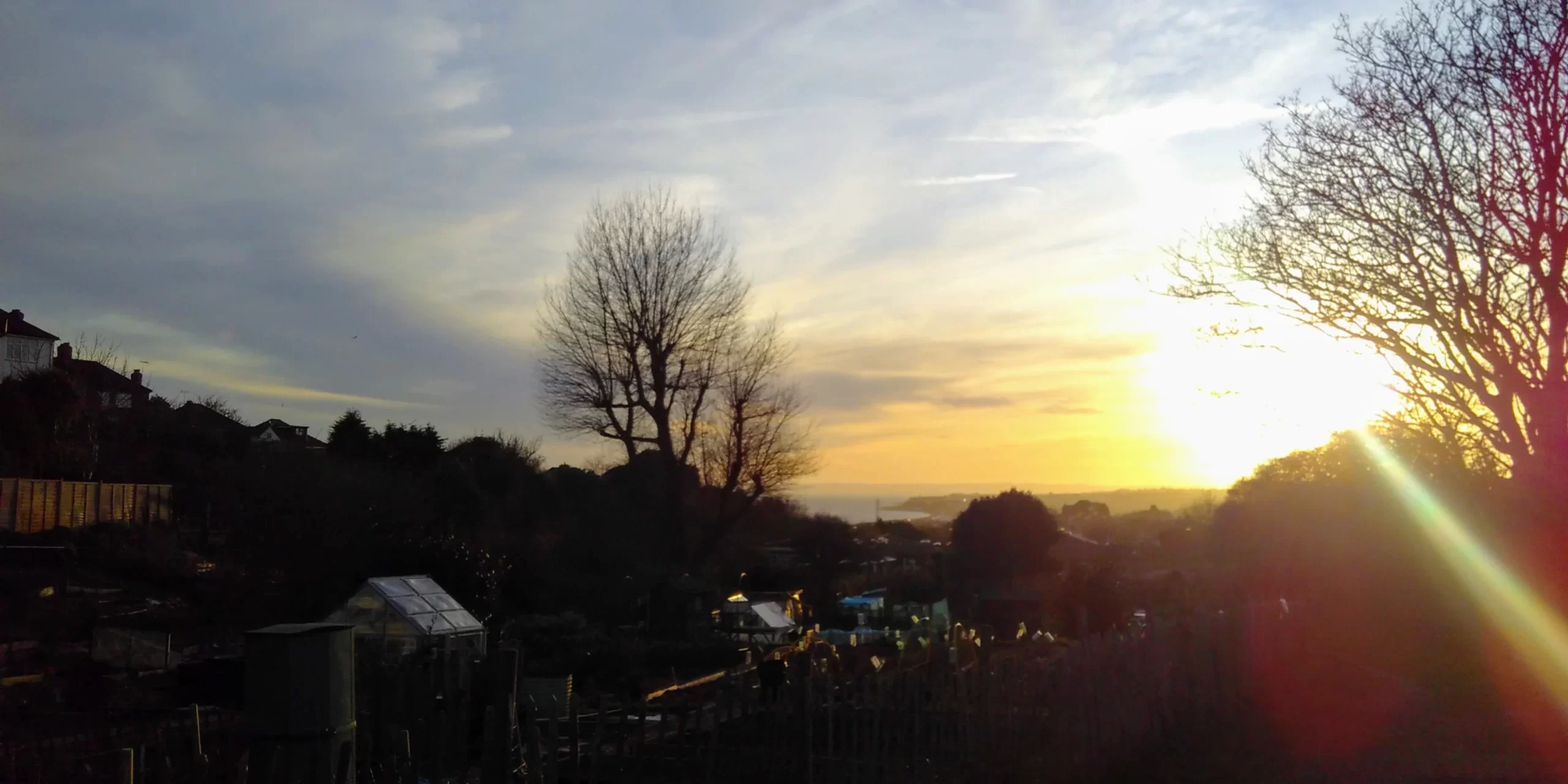 Notes from the Committee 01