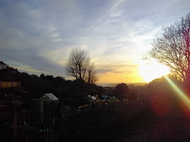 Notes from the Committee 01