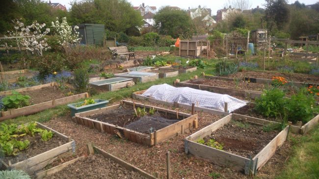 Notes-from-the-Committee-2