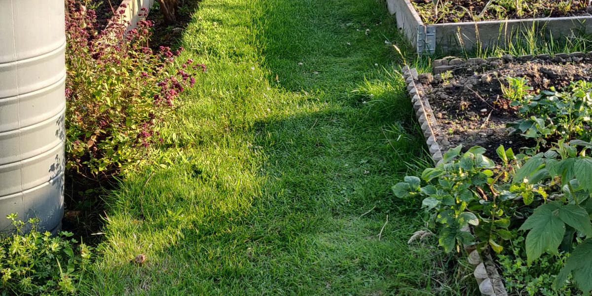 MA-Footpaths-Cover Image