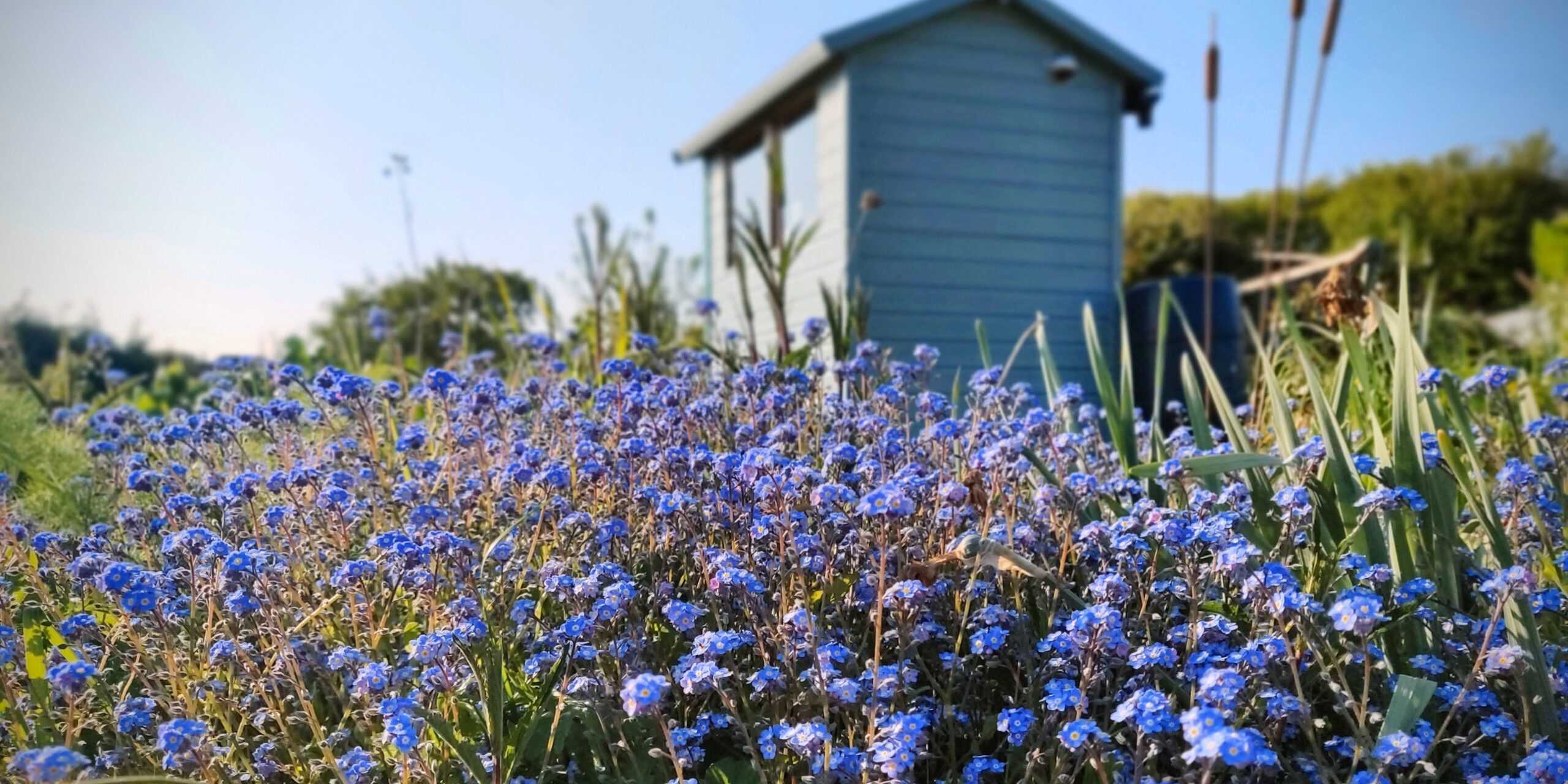 IMG_20250427_173253_Bokeh-EDIT